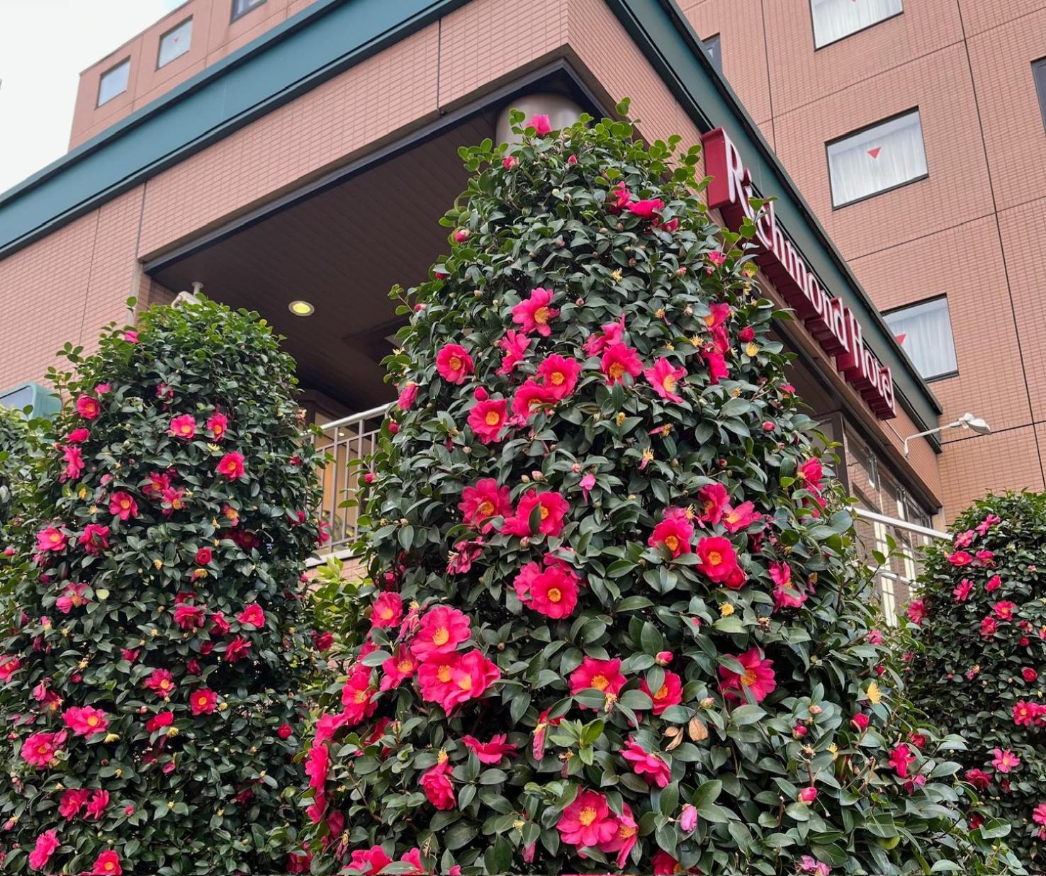 Richmond Hotel Tokyo Musashino Eksteriør billede